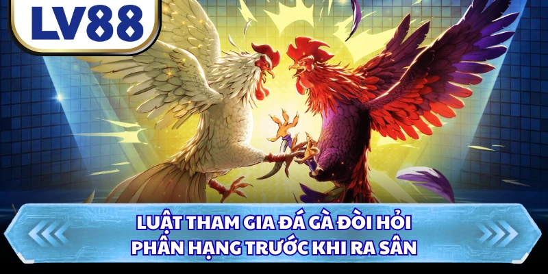Luật tham gia đá gà đòi hỏi phân hạng trước khi ra sân