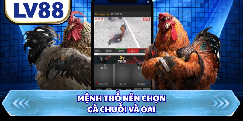 Mệnh Thổ nên chọn gà chuối và oai